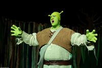 Shrek 2021